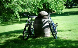 bicycles and garbage can